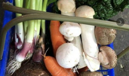 临海吃瓜最新事件爆料